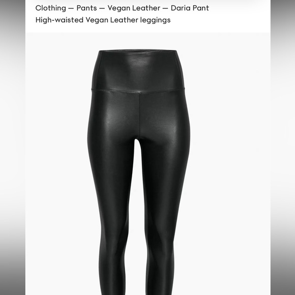 aritzia leather legging/pants - Picture 5 of 7